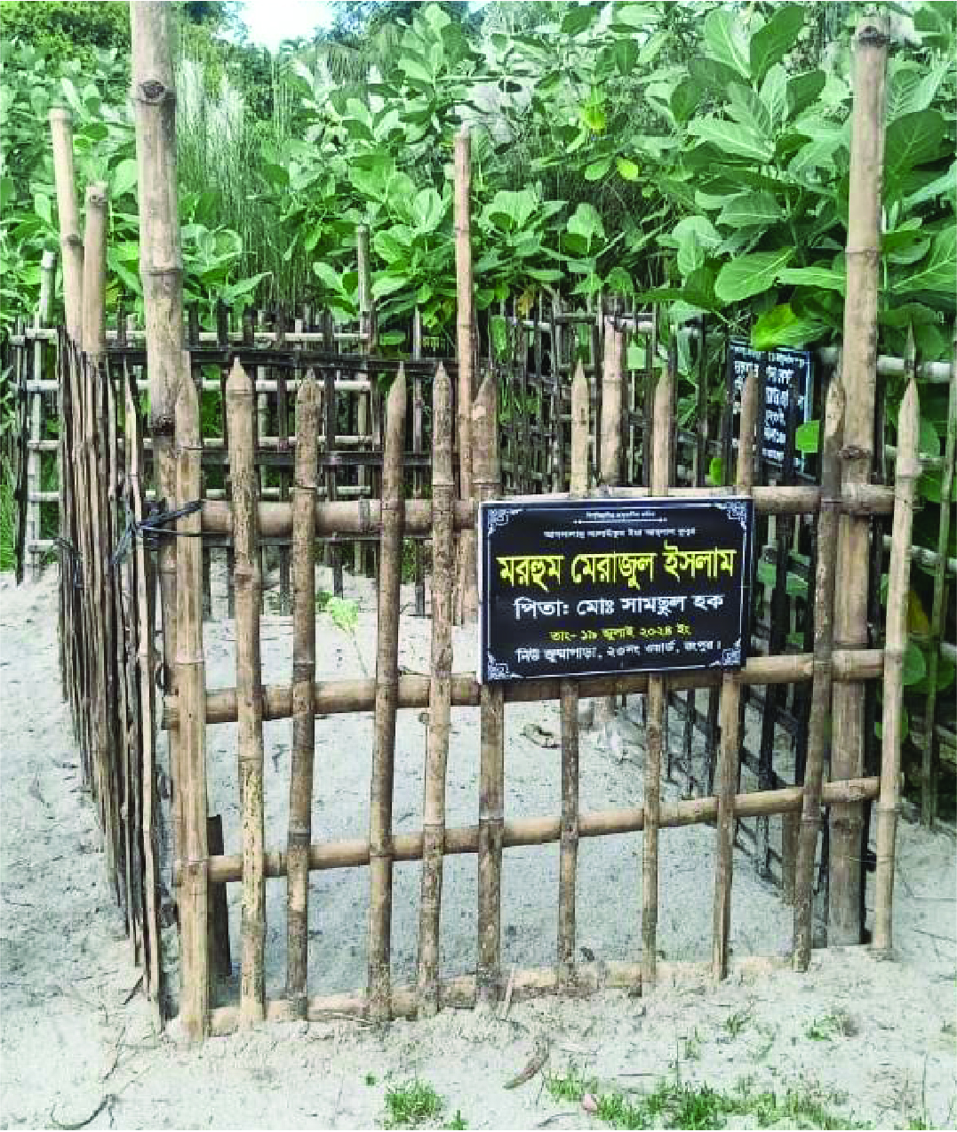 Image of মো: মেরাজুল ইসলাম